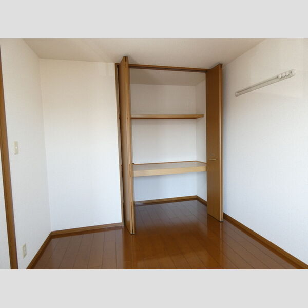 収納 (物入(南側洋室))