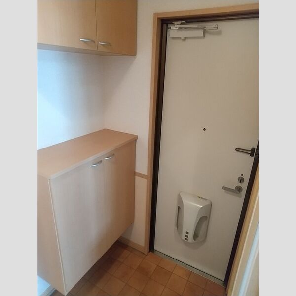 玄関 (シューズボックス)