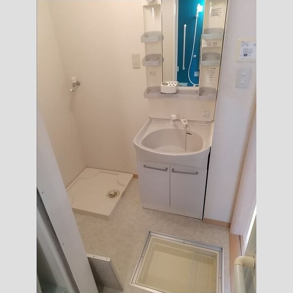 洗面所 (洗髪洗面化粧台　室内洗濯機置き場　床下収納あり)