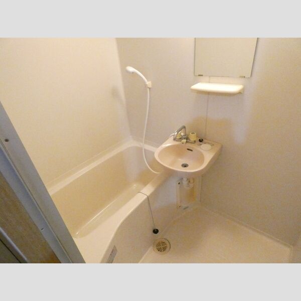 洗面所 (洗面台付ユニットバス)