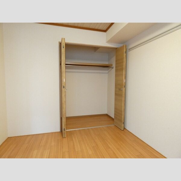 収納 (クローゼット)