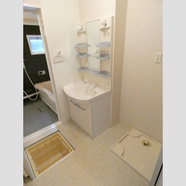 洗面所 (洗髪洗面化粧台・床下収納・室内洗濯機置き場)