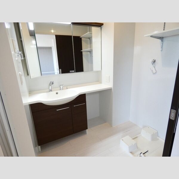 洗面所 (洗髪洗面化粧台)