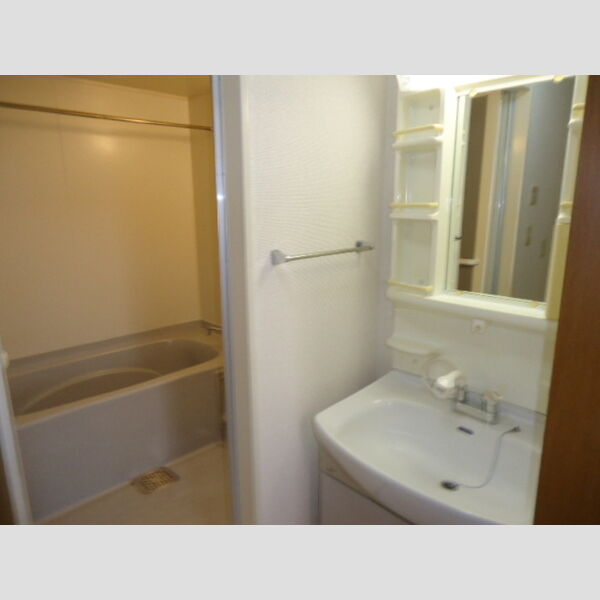 洗面所 (洗面化粧台)