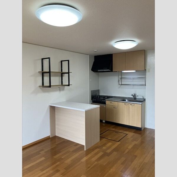 居室・リビング (LDK(カウンター収納+棚))