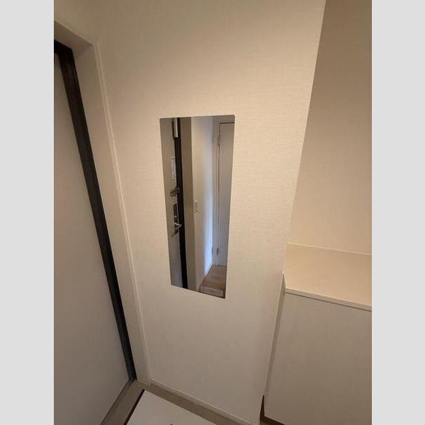 その他 (玄関横　ステンレス鏡)