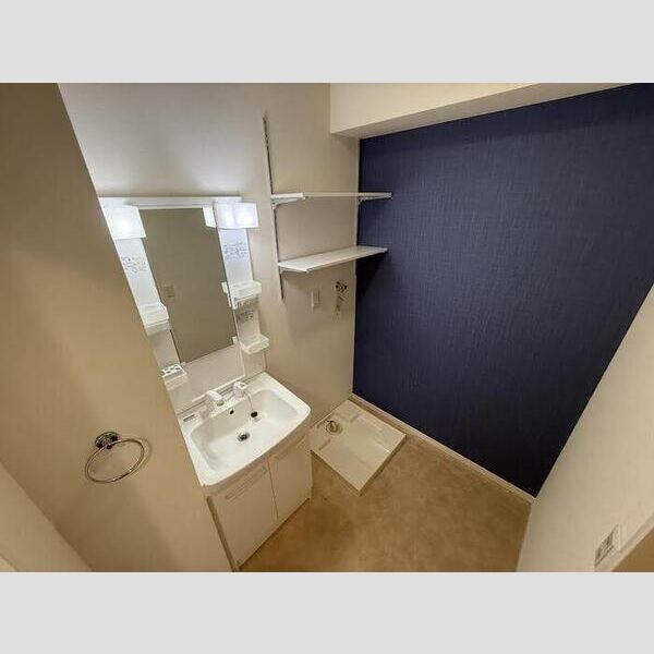 洗面所 (洗髪洗面化粧台)