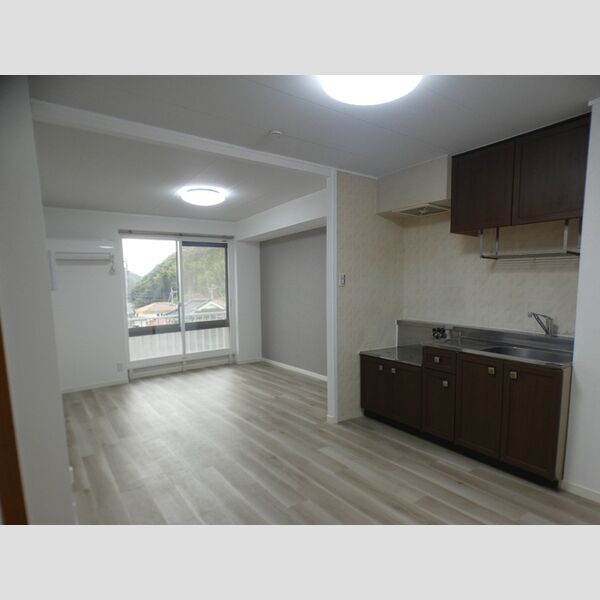 居室・リビング (LDK(エアコン・居室照明付))