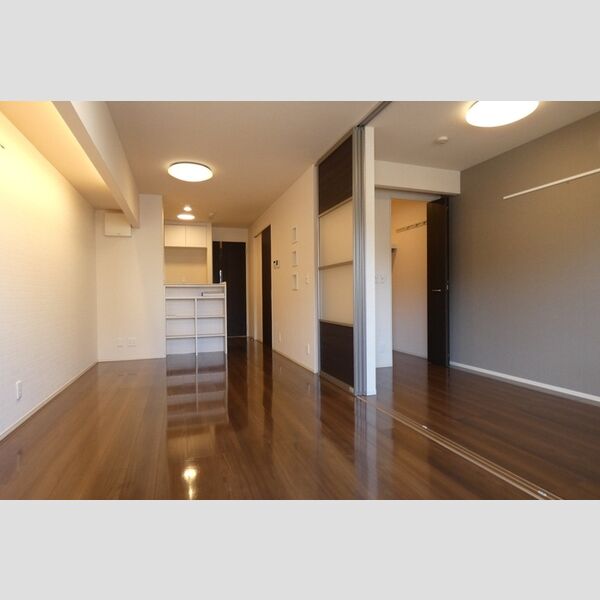 その他 (LDK　洋室)