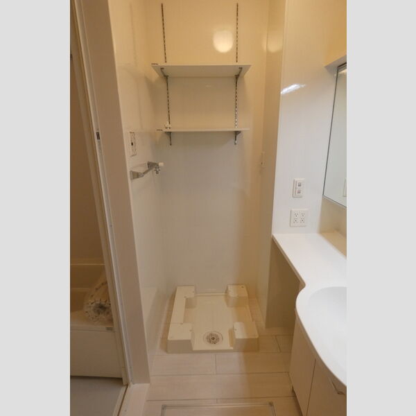 洗面所 (室内洗濯機置き場)