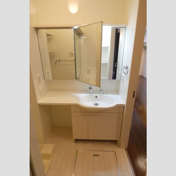 洗面所 (洗髪洗面化粧台)