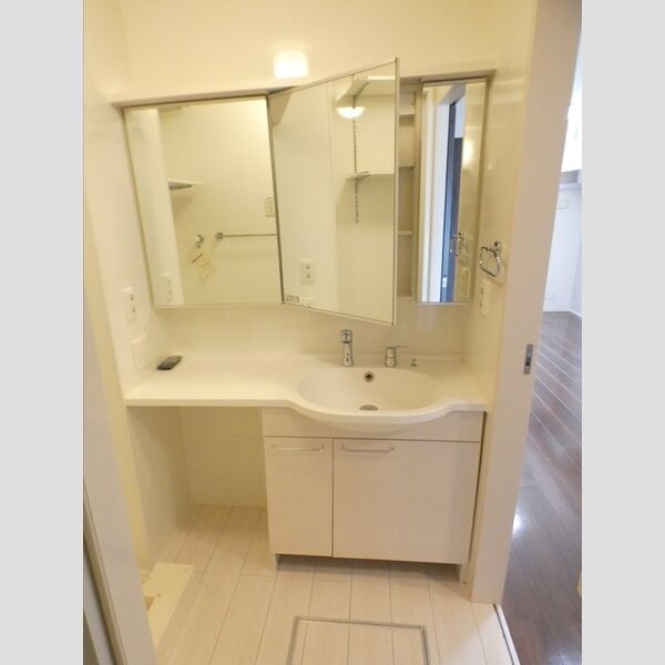 洗面所 (洗髪洗面化粧台)