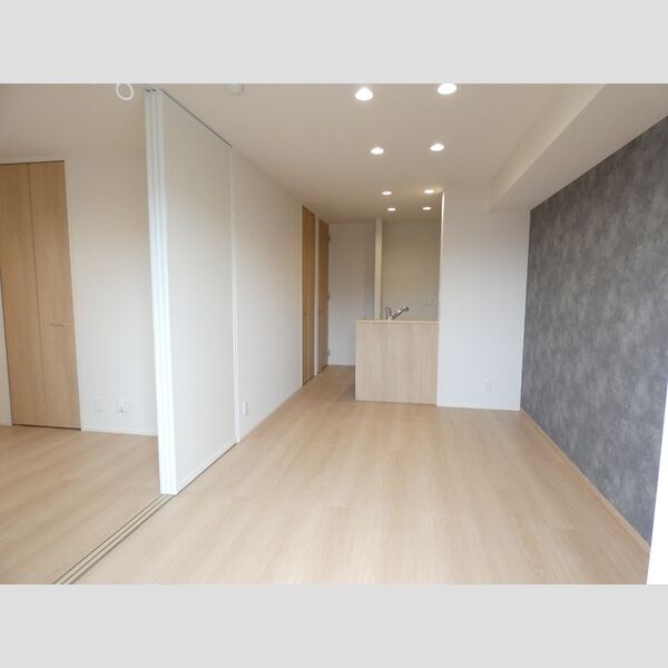 その他 (LDK　洋室)