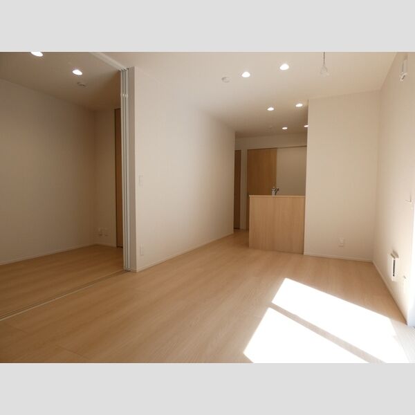 その他 (LDK 洋室)