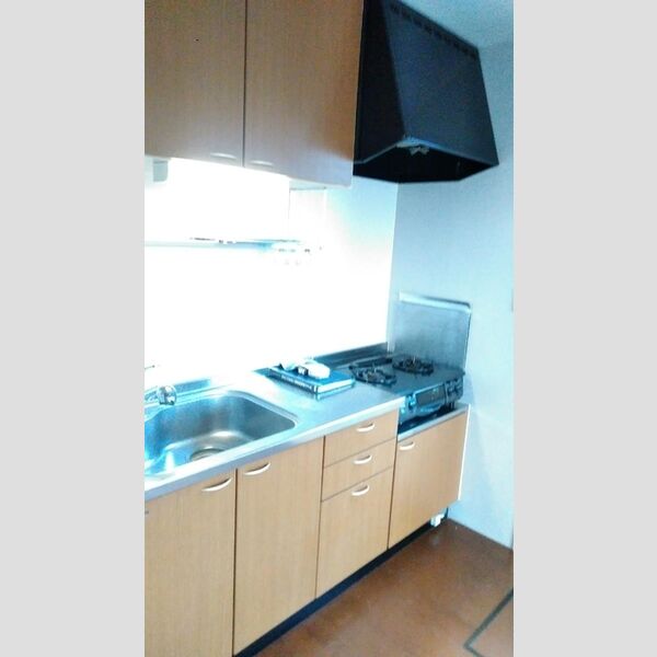 キッチン (キッチン(ガスコンロは残置物です))