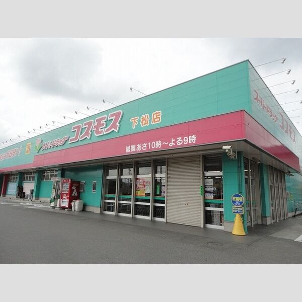 現地周辺 (コスモス)