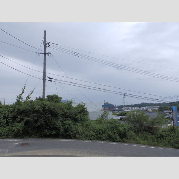 現地周辺 (眺望)