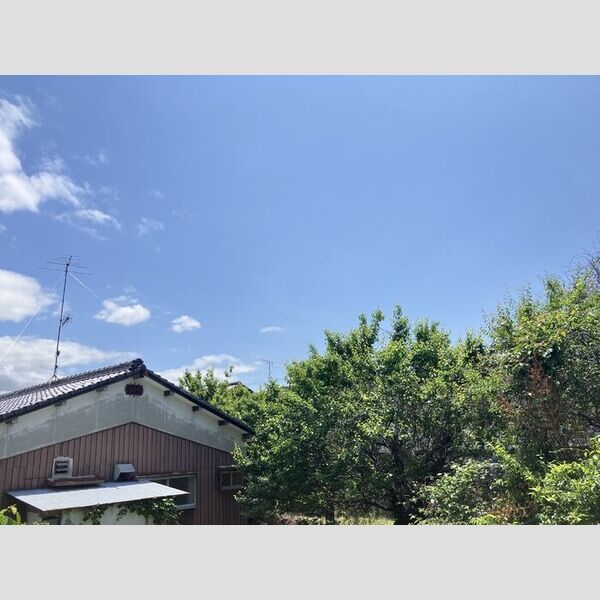 現地周辺 (眺望)
