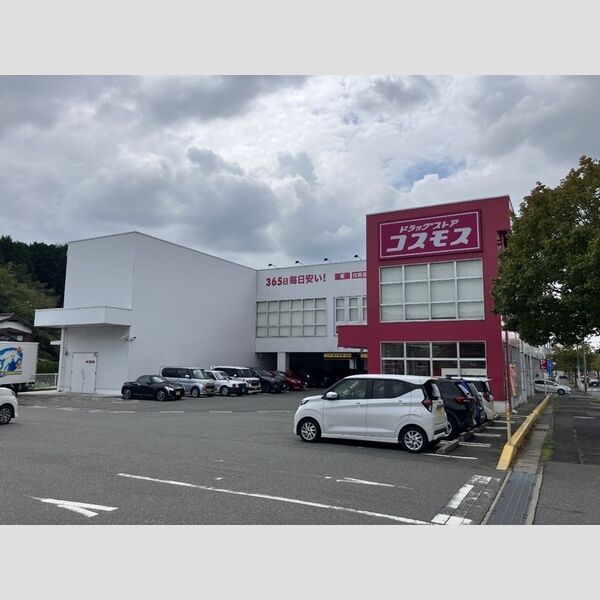 現地周辺 (コスモス遠石店(約560m))