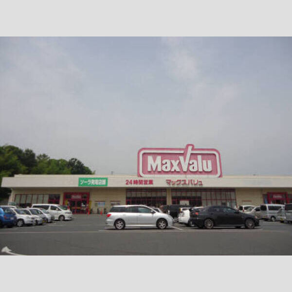 その他 (マックスバリュ南岩国店)