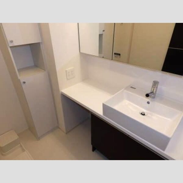 洗面所 (洗面化粧台(カウンタータイプ))