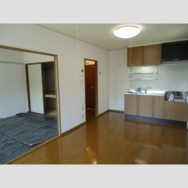 居室・リビング (居室9帖)