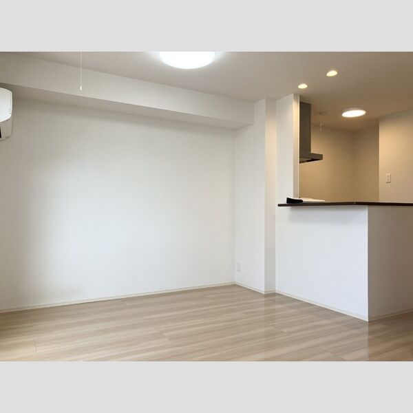 居室・リビング (LDK)