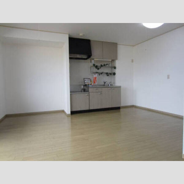 居室・リビング (B201:LDK(エアコン・照明器具付))