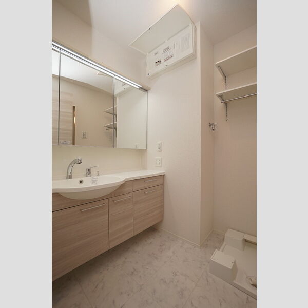 洗面所 (洗髪洗面化粧台)