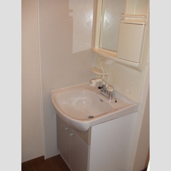 洗面所 (洗髪洗面化粧台)