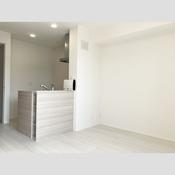 居室・リビング (LDK(エアコン・室内物干し))