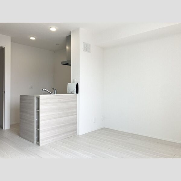 居室・リビング (LDK(エアコン・室内物干し))