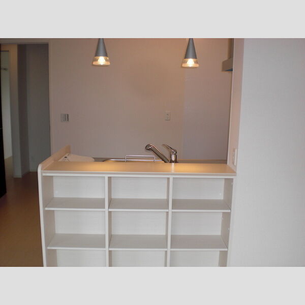 収納 (302:対面カウンター収納)