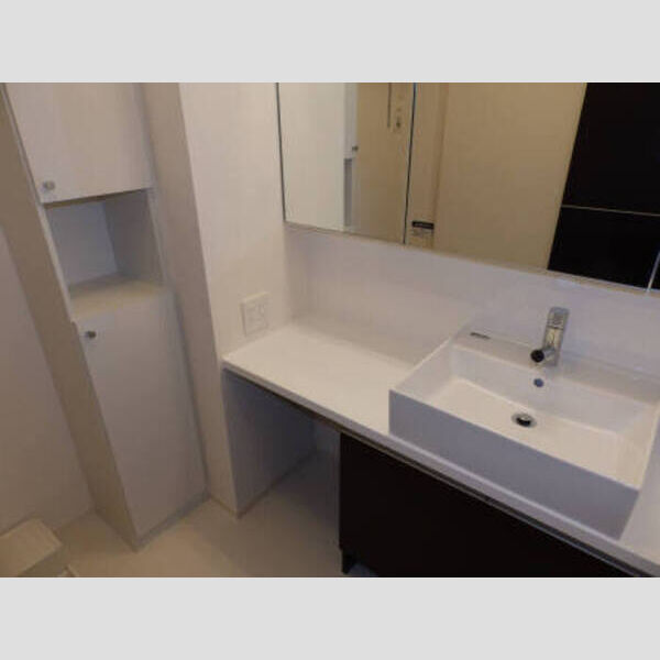 洗面所 (101:洗面化粧台(カウンタータイプ))