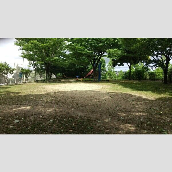 現地周辺 (隣地公園)