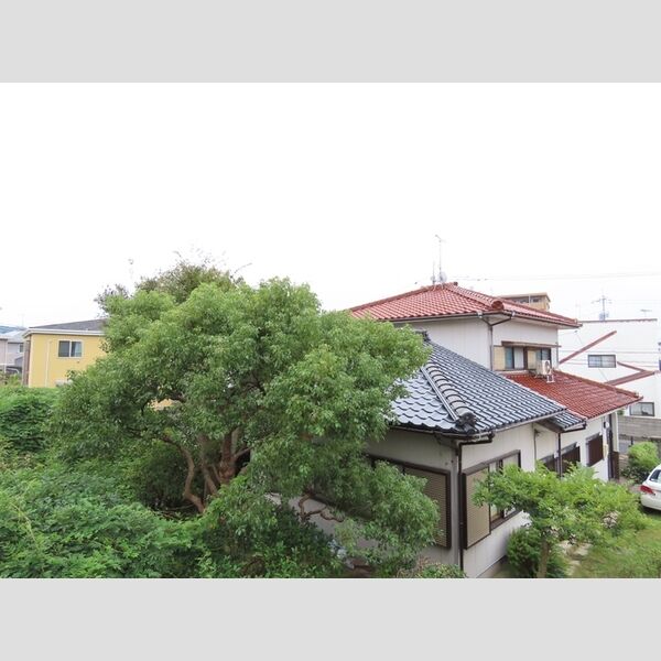 現地周辺 (眺望)