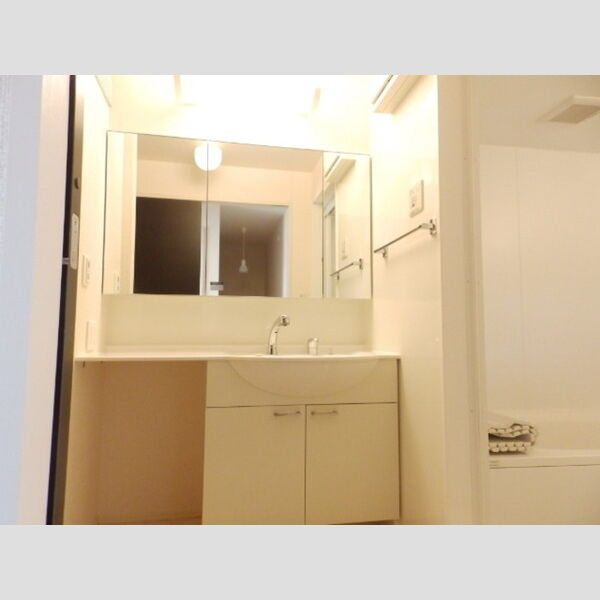 洗面所 (洗髪洗面化粧台)