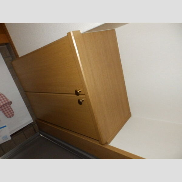 その他 (シューズボックス)