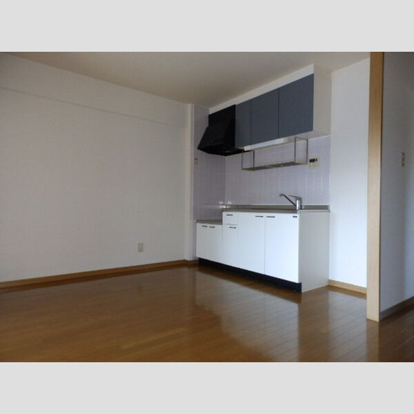 居室・リビング (DK)