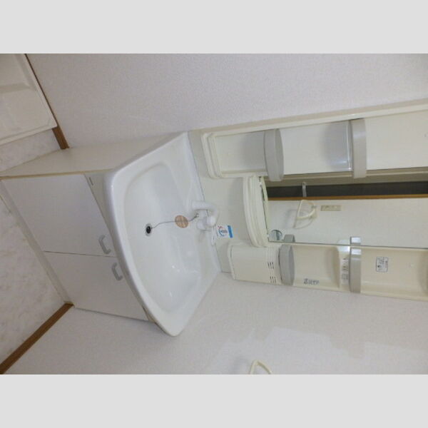 洗面所 (洗髪洗面化粧台)