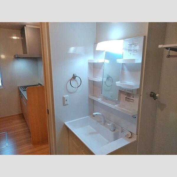 洗面所 (洗髪洗面化粧台)