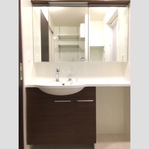 洗面所 (洗髪洗面化粧台)