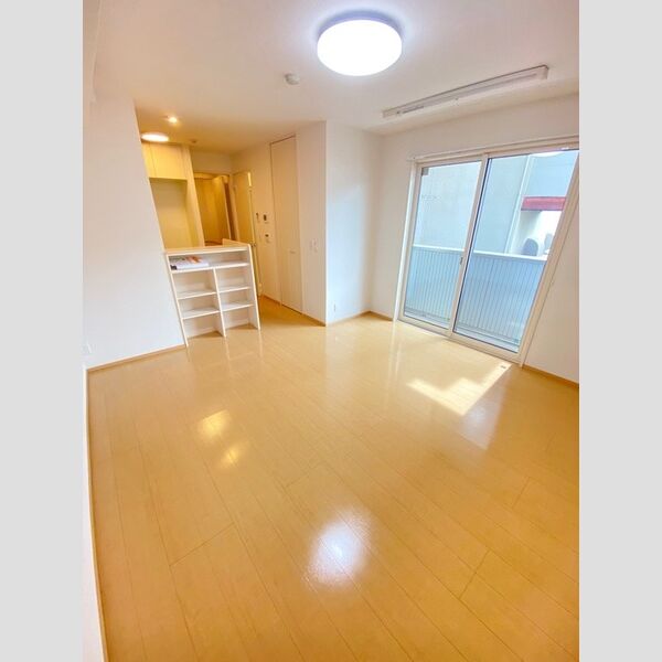 その他 (洋室11.6帖)