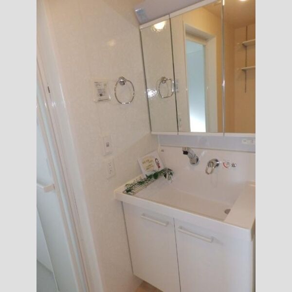 洗面所 (洗髪洗面化粧台)