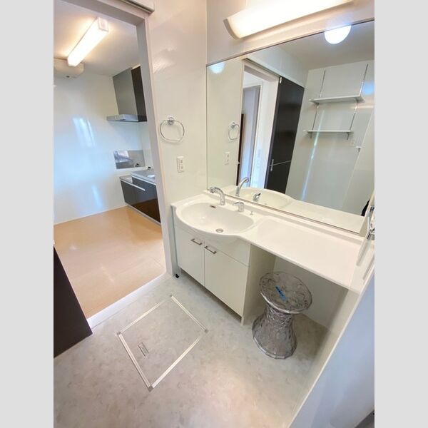 洗面所 (カウンタータイプ洗面化粧台)