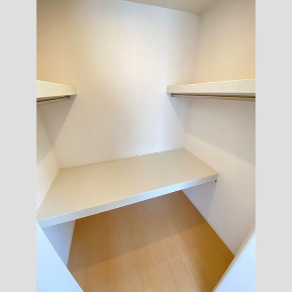 収納 (ウォークインクローゼット)