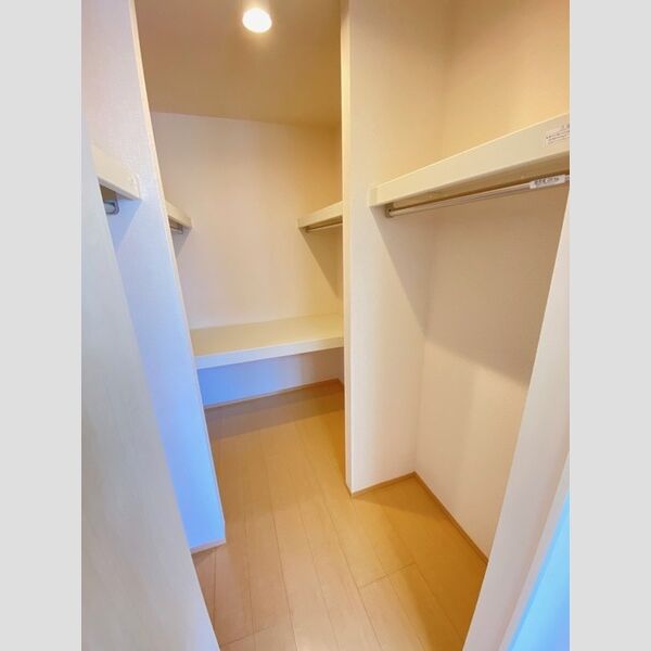 収納 (ウォークインクローゼット)