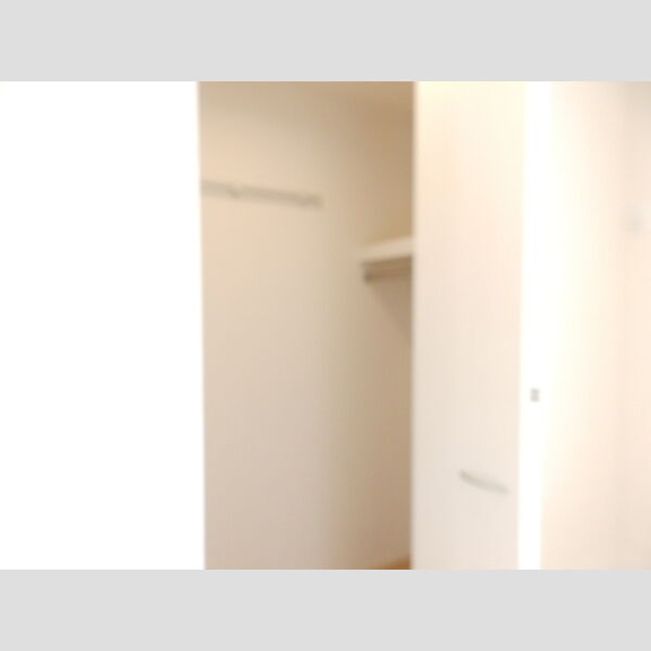 収納 (ウォークインクローゼット)