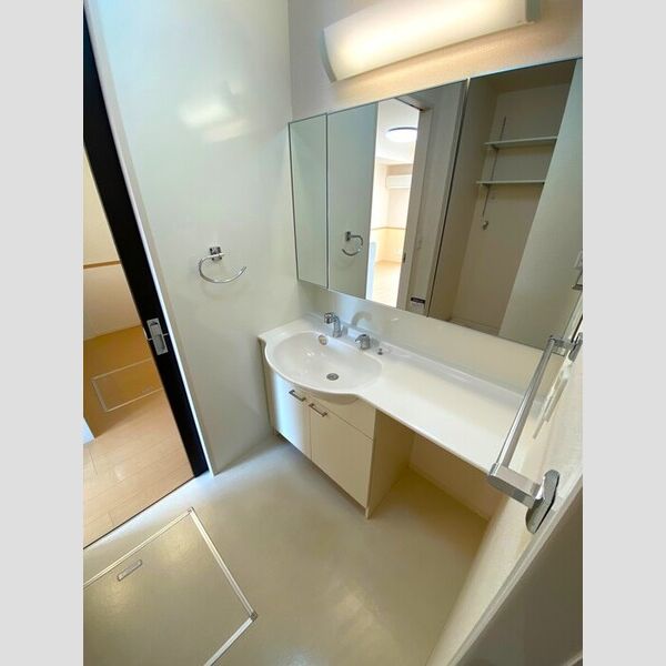 洗面所 (カウンタータイプ洗面化粧台)