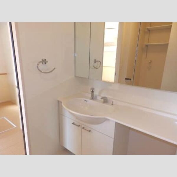 洗面所 (洗髪洗面化粧台)